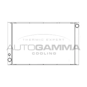 105765 AUTOGAMMA