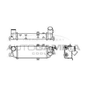 107104 AUTOGAMMA