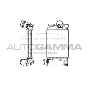 107577 AUTOGAMMA
