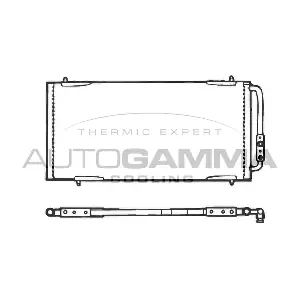 101577 AUTOGAMMA