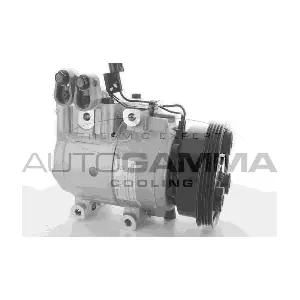 108258 AUTOGAMMA