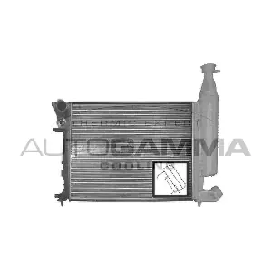 100155 AUTOGAMMA