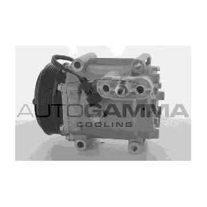 108663 AUTOGAMMA