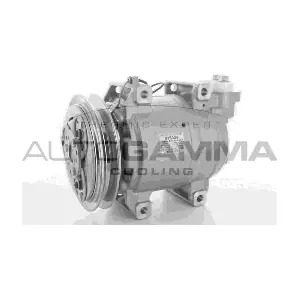 118463 AUTOGAMMA