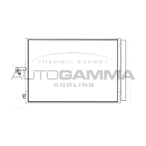 107677 AUTOGAMMA