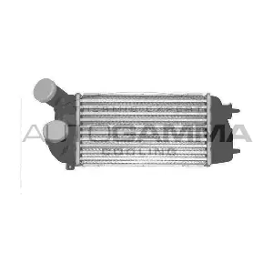 103122 AUTOGAMMA