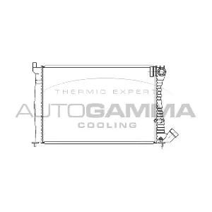 100205 AUTOGAMMA