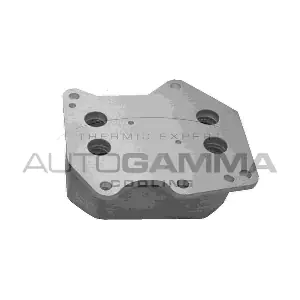 107706 AUTOGAMMA