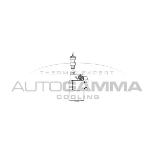 106345 AUTOGAMMA
