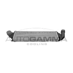 107617 AUTOGAMMA