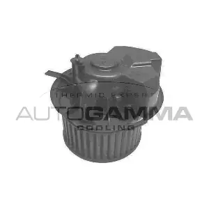 GA31006 AUTOGAMMA