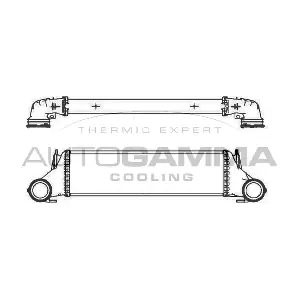 105914 AUTOGAMMA