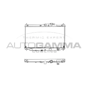 100406 AUTOGAMMA