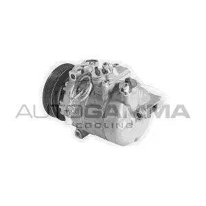 108196 AUTOGAMMA