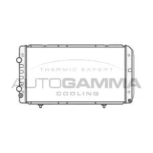 102901 AUTOGAMMA