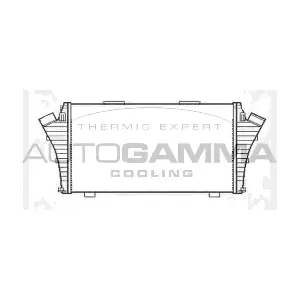 103977 AUTOGAMMA