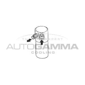 106181 AUTOGAMMA