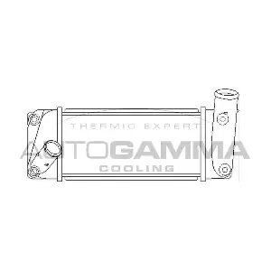 105955 AUTOGAMMA