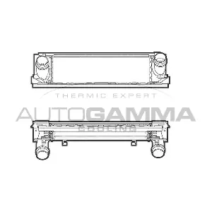107298 AUTOGAMMA