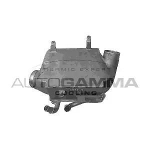 107917 AUTOGAMMA