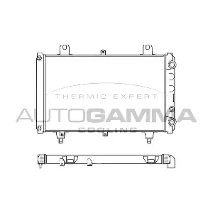 100174 AUTOGAMMA