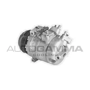 108067 AUTOGAMMA