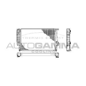 100107 AUTOGAMMA