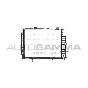 101381 AUTOGAMMA