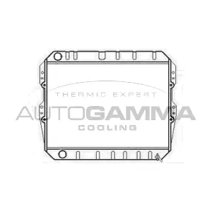 102974 AUTOGAMMA