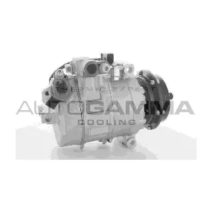 108497 AUTOGAMMA
