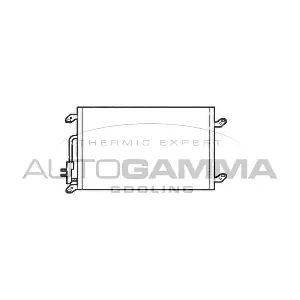 102667 AUTOGAMMA