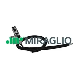 37252 MIRAGLIO