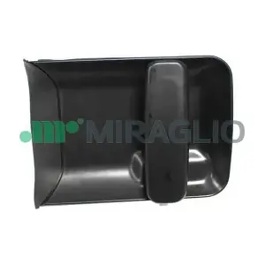 80695 MIRAGLIO