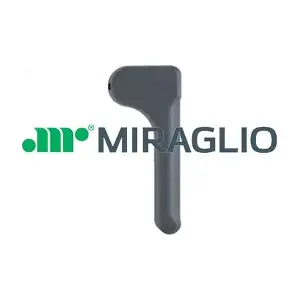 60333 MIRAGLIO