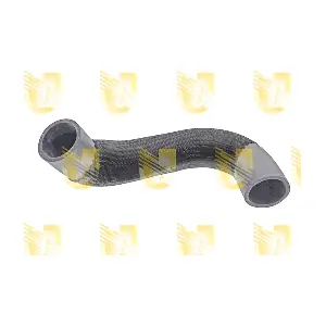P2268 UNIGOM
