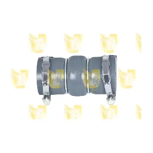 R4250 UNIGOM