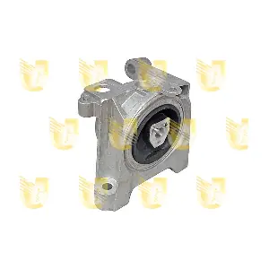 395496 UNIGOM