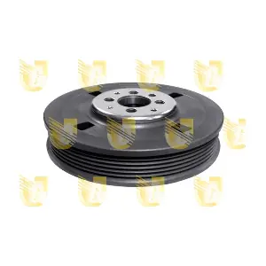 421810D UNIGOM
