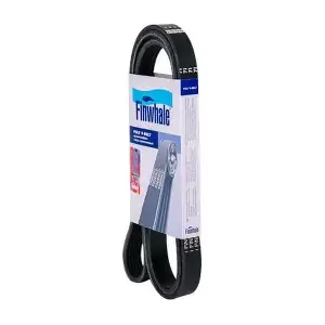 BP6PK1708 FINWHALE