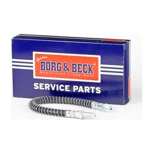 BBH6389 BORG & BECK
