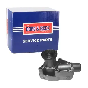 BWP1181 BORG & BECK