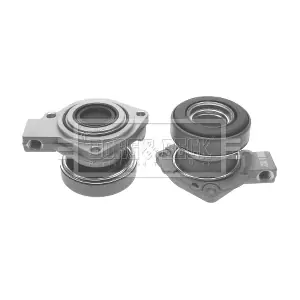 BCS100 BORG & BECK