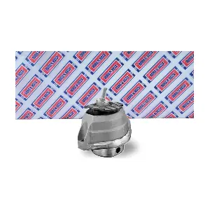 BEM4019 BORG & BECK