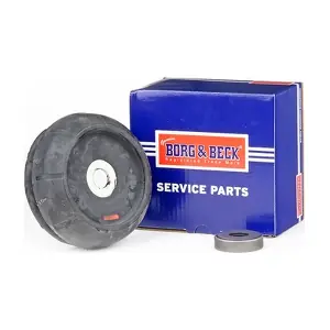BSM5054 BORG & BECK