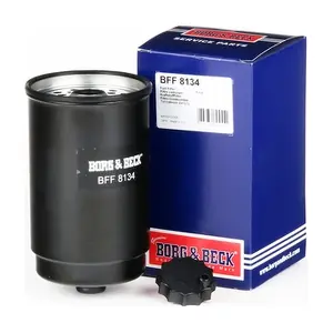 BFF8134 BORG & BECK