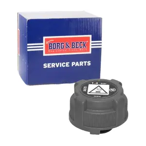BRC109 BORG & BECK