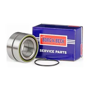 BWK1053 BORG & BECK