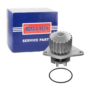 BWP1172 BORG & BECK