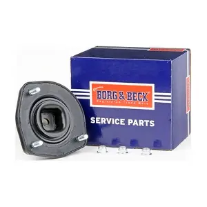 BSM5300 BORG & BECK