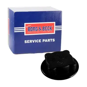 BRC76 BORG & BECK
